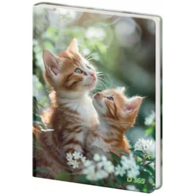 Helma 2025 Památník čistý Tabby – Zboží Dáma