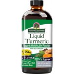 Nature's Answer Turmeric with Black Pepper 480 ml – Hledejceny.cz