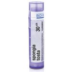 SPONGIA TOSTA POR 30CH GRA 4G – Hledejceny.cz