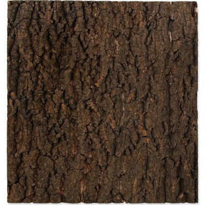 Repti Planet pozadí přírodní korek 43,5x41 cm – Zboží Dáma