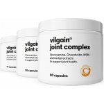 Vilgain Joint Complex 3 x 90 kapslí – Hledejceny.cz