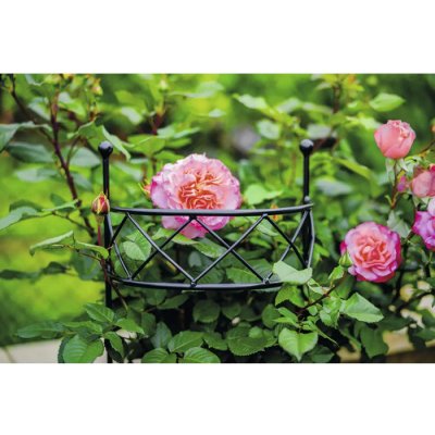 Opora pro rostliny CHRIS kovová 90 x 34 x 19 cm černá – Hledejceny.cz