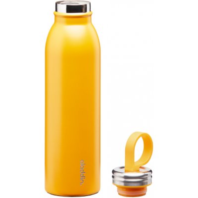 Aladdin Chilled Thermavac™ Stainless Steel Water Bottle 0,55 l – Hledejceny.cz