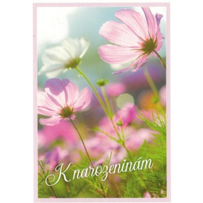 Pohlednice K narozeninám – Zboží Dáma