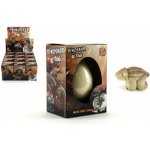 Teddies Dinosaurus líhnoucí a rostoucí z vajíčka 8x10 cm 12 ks v boxu – Sleviste.cz
