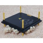 Agrofortel Umělá kvočna výhřevná deska 38 W 40 x 40 cm – Zboží Mobilmania