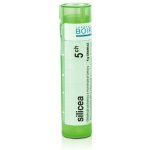 SILICEA POR 5CH GRA 4G – Hledejceny.cz