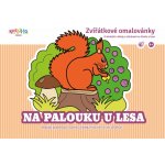 Kresli.to Zvířátkové omalovánky Na palouku u lesa – Hledejceny.cz