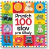 Kniha Prvních 100 slov