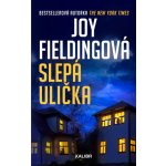 Slepá ulička - Joy Fielding – Hledejceny.cz