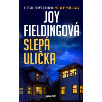 Slepá ulička - Joy Fielding