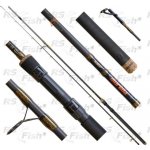 Delphin Murena 2,7 m 100 g 2 díly – Sleviste.cz