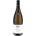 Louis Michel а Fils Chablis Premier Cru Montmain 2023 Bílé 13% 0,75 l (holá láhev) – Hledejceny.cz