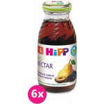 HiPP BIO Švestkový nektar 6 x 200 ml – Zboží Mobilmania