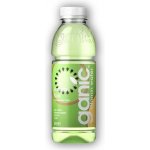 Ganic Vitamin voda ananas / kiwi 0,5 l – Zbozi.Blesk.cz