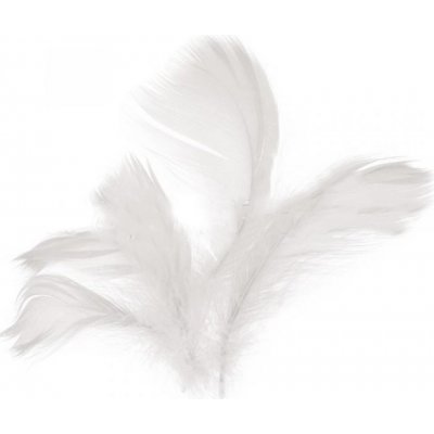 Peří v sáčku 10g bílé – Zboží Dáma