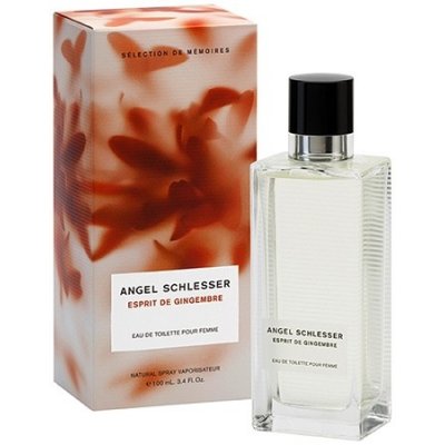 Angel Schlesser Esprit de Gingembre toaletní voda pánská 100 ml tester – Hledejceny.cz