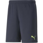 Puma INDIVIDUALRISE SHORTS – Hledejceny.cz