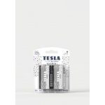 TESLA SILVER+ D 2ks 13200221 – Zbozi.Blesk.cz