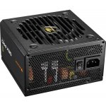 Cougar GEX PRO 850W CGR GEXP-850 – Hledejceny.cz