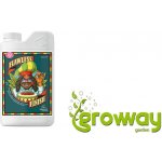 Advanced Nutrients Flawless Finish 250ml – Zboží Mobilmania