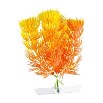 JK Red Anacharis 13-16 cm – Hledejceny.cz