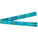 Elastic Band 85x5cm – Zboží Dáma