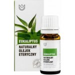 Naturalne Aromaty Esenciální olej Eukalyptus 10 ml – Hledejceny.cz