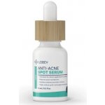 LOBEY Lokální sérum na akné s okamžitým účinkem 15 ml – Hledejceny.cz