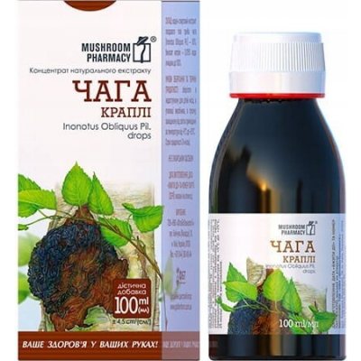 Golden Farm Tekutý koncentrát z čagy 100 ml – Hledejceny.cz