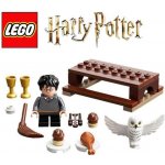 LEGO® Harry Potter™ 30420 Harry Potter™ and Hedwig: Owl Delivery polybag – Hledejceny.cz