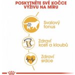 PetSafe Extra drát a sada praporků k Ohradníku – Zboží Dáma