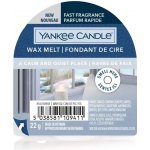 Yankee Candle CALM & QUIET PLACE vonný vosk do aromalampy 1 ks – Hledejceny.cz