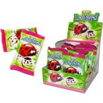 TAYAS LADYBIRD sušenka s náplní 25 g – Zbozi.Blesk.cz