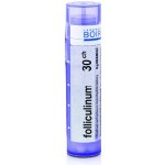 FOLLICULINUM POR 30CH GRA 1X4G – Hledejceny.cz