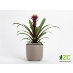 Plastia květináč samozavlažovací Tolita taupe 19 cm – Sleviste.cz