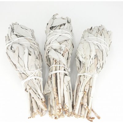 U Džoudyho Šalvěj bílá palička 15-20 g – Zboží Mobilmania