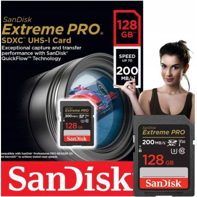 SanDisk SDXC 128 GB SDSDXXD-128G-GN4IN – Zboží Živě