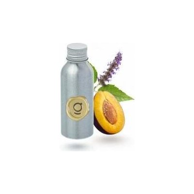 Goda Náplň do difuzéru Grud švestka & Pačule 100 ml – Hledejceny.cz