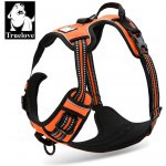 Truelove Postroj pro psa – Zboží Dáma