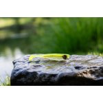 JV Baits Kopyto 10 cm Natural – Hledejceny.cz