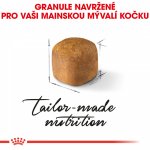 Royal Canin Maine Coon Kitten 0,4 kg – Zboží Dáma