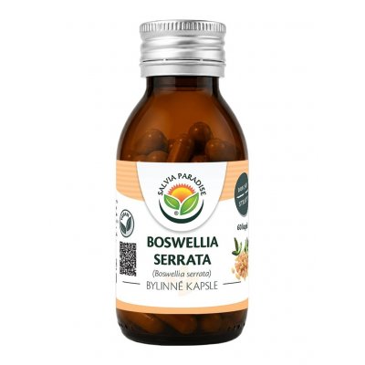 Salvia Paradise Boswellia serrata kadidlovník 60 kapslí – Hledejceny.cz