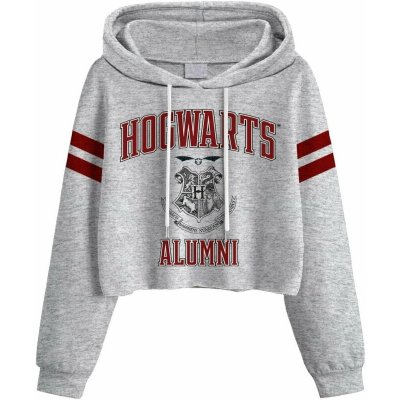 Harry Potter mikina Hogwarts Alumni Ladies Grey – Zboží Mobilmania