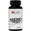 GE Labs Andro Test 60 kapslí