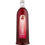 Divine Kirsch 16,6% 0,5 l (holá láhev) – Zboží Mobilmania