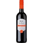 Brise de France Syrah polosladké francouzské červené 12% 0,75 l (holá láhev) – Hledejceny.cz