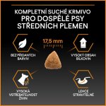 Purina Pro Plan Medium Adult Everyday Nutrition kuře 2 x 14 kg – Hledejceny.cz