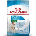 Royal Canin SHN MINI STARTER MOTHER&BABYDOG 4 kg – Sleviste.cz