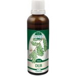 Naděje Dub bylinná tinktura z pupenů rostliny 50 ml – Hledejceny.cz